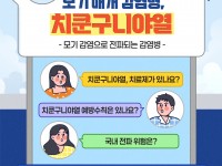 ◎ 모기 매개 감염병, '치쿤구니야열'